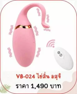 vibrator-VB-024