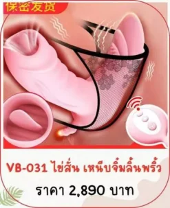 vibrator-VB-031